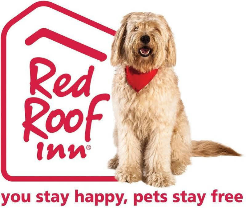 Red Roof Inn Plus+ Columbus-Ohio State University Osu Exterior photo